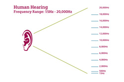 Human Hearing Range